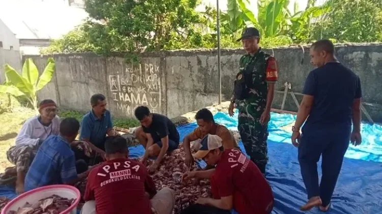 Babinsa Koramil Manna Monitoring Proses Pemotongan Qurban