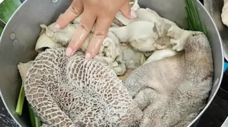 Tips Mengolah Jeroan Sapi Kurban agar Tidak Amis dan Lezat Disajikan