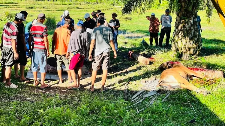 Pentingnya Menjaga Nilai Ibadah dan Kepedulian  Hari Raya Idul Adha