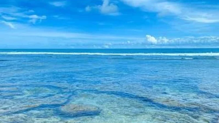 Mengenal Keindahan Wisata Bunga Karang Kaur