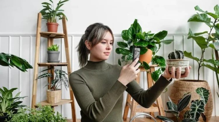 Menilik Peluang Emas Bisnis Tanaman Hias lewat Strategi Visual