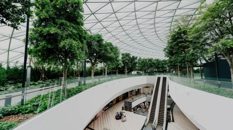 Mengenal Manfaat Penerapan Konsep Arsitektur Biophilic di Kota