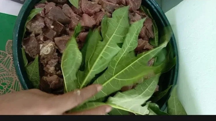 Rahasia Daging Empuk dengan Daun Kates, Cara Tradisional yang Masih Ampuh