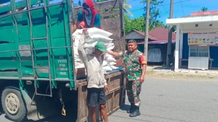 Babinsa Koramil Kaur Utara Monitoring Pendistribusian Bapang