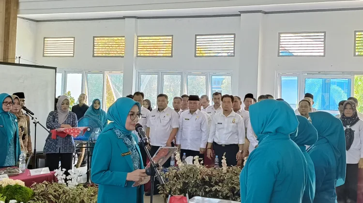 Ketua PKK Kabupaten Kaur Lentik 9 Ketu PKK Kecamatan
