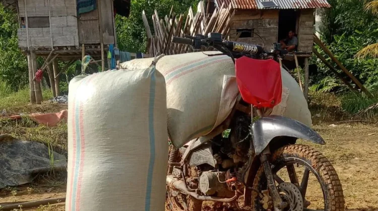 Harga Kopi di Sumbagsel Naik Tipis
