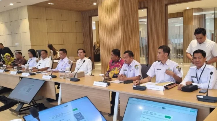 Jalin Sinergitas Bupati Kaur Audensi  Bersama Mentri Kesehatan RI