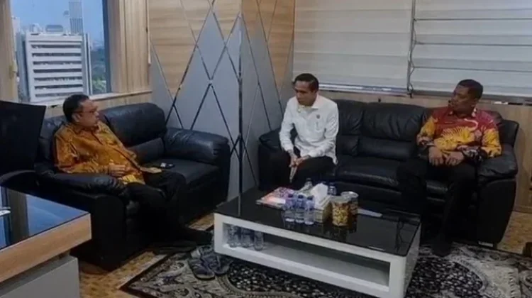 Bupati Kaur Audensi Bersama DPR RI Dorong Percepatan Pembangunan Kesehatan di Dae