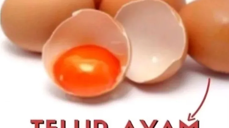 Telur Omega, Pilihan Bergizi untuk Mendukung Tumbuh Kembang Anak