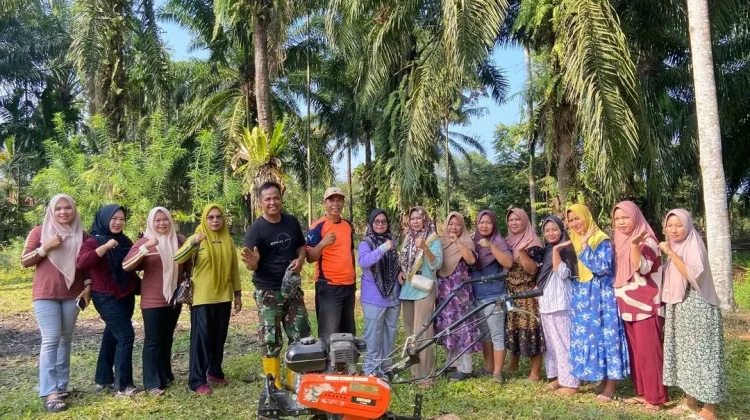 Camat Luas dan Jajaran Melaksanakan Gotong Royong Lahan PKK