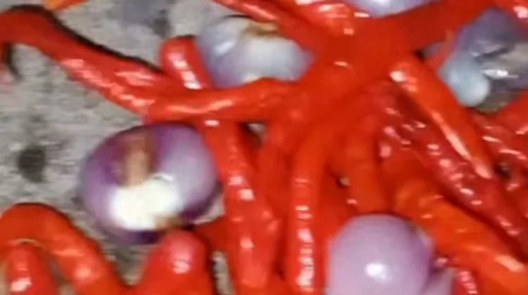 Resep Praktis Sambal Bawang