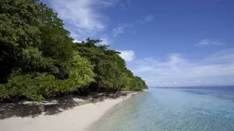Destinasi Indah Pantai Liang Ambon