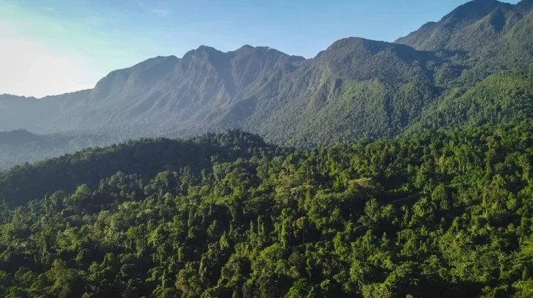 Taman Nasional Manusela: Surga bagi Pecinta Petualangan