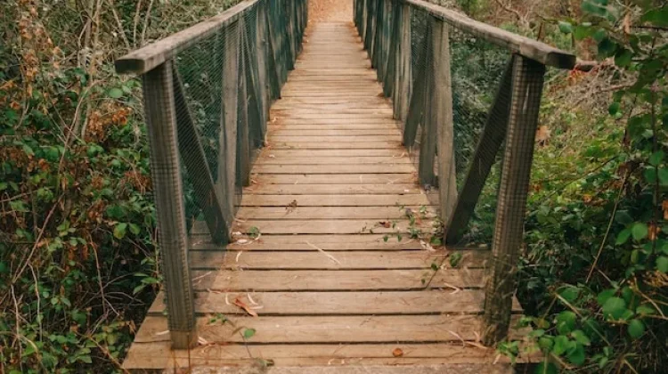 Merawat Jembatan Kayu Tradisional agar Aman dan Tahan Lama