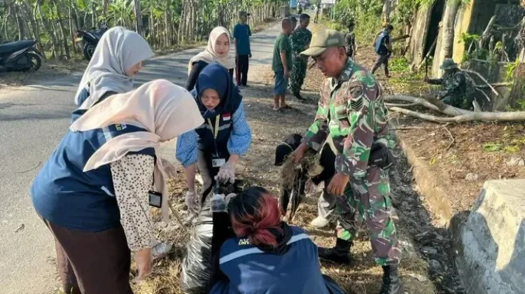 Babinsa Koramil Kaur Selatan Goro Lingkungan Desa Jembatan Dua