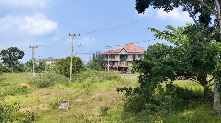 Kawasan Pondok Pusaka Kabupaten Kaur Kini Bebas dari Hewan Ternak Liar