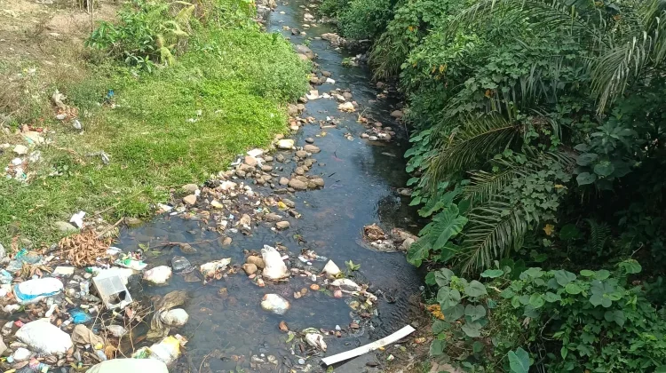 Ratusan Hektare Sawah di Kelam Tengah Terancam Terbengkalai akibat Krisis Air
