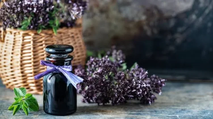 Khasiat Terapi Aromaterapi Minyak Lavender untuk Kualitas Tidur Malam