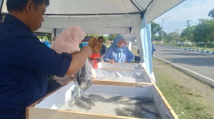 Dinas Perikanan Bengkulu Selatan Gelar PUS Ikan