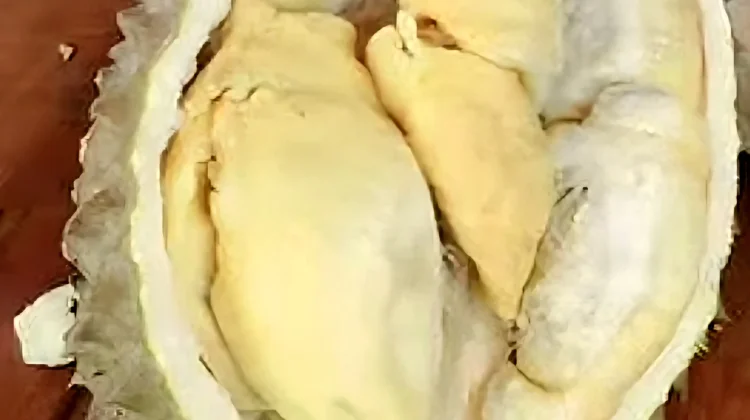 Jaga Kesehatan: Kenali Batas Konsumsi Durian