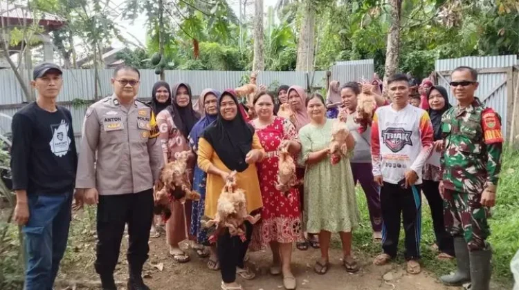 Babinsa Koramil Kaur Utara Dampingi Penyaluran Ayam Petelur