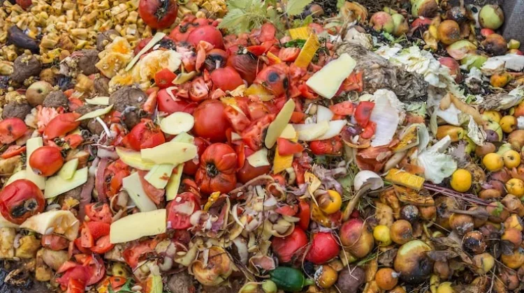 Mengolah Sampah Buah Menjadi Cairan Murni Eco-Enzyme