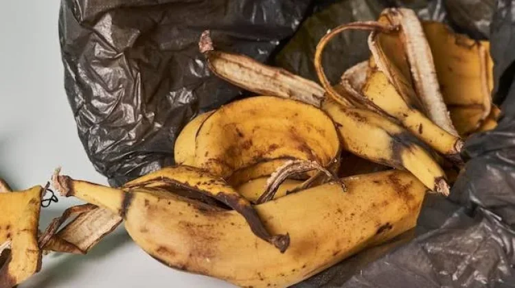 Pengolahan Limbah Kulit Pisang Menjadi Bahan Pengilap Sepatu