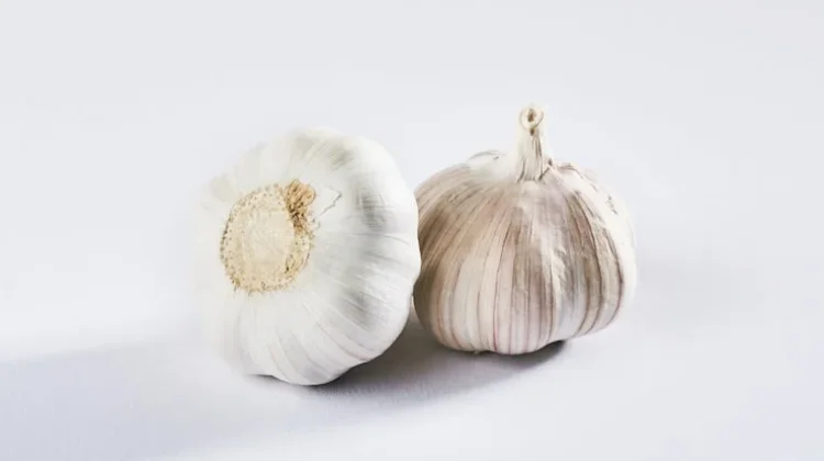 Pembuatan Pestisida Nabati dari Bawang Putih untuk Tanaman Sayur