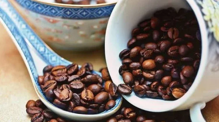 Mengenal Lebih Dekat Kopi Kemiren Banyuwangi