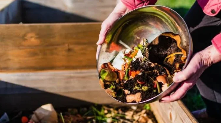 Cara Pengolahan Compost Tea dari Kompos Komunal Tanaman