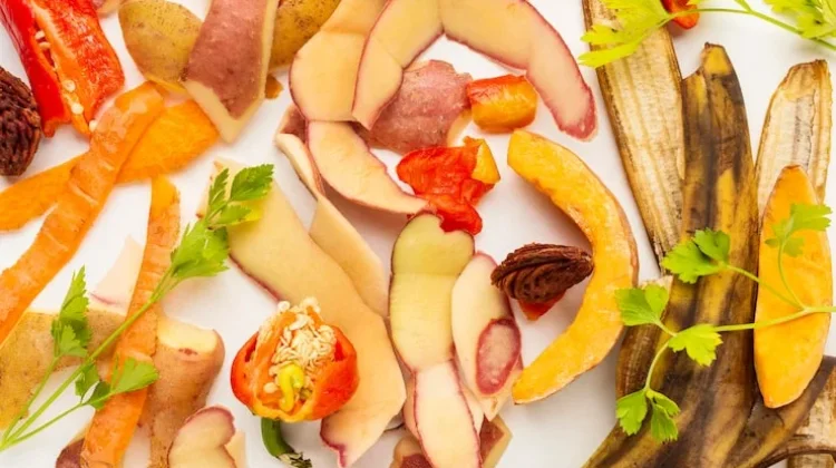 Manfaat dan Cara Pembuatan Eco-Enzyme dari Kulit Buah