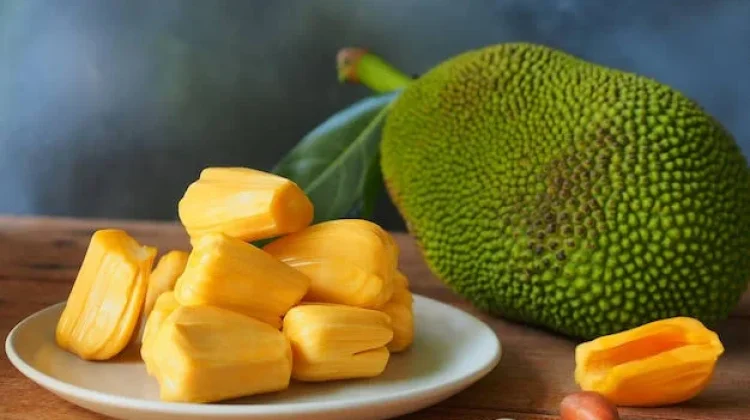 Olah Biji Nangka Jadi Tepung, Solusi Pangan Lokal Kaya Serat