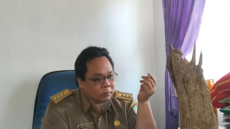 Camat Kaur Selatan Dukung Operasi Besar Penertiban Hewan Ternak
