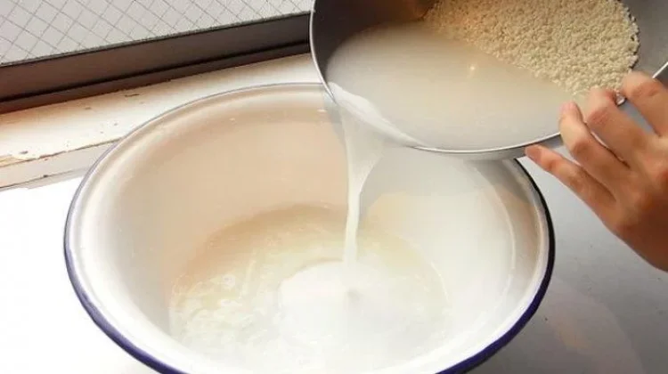 Manfaat Air Beras bagi Kesehatan dan Kecantikan