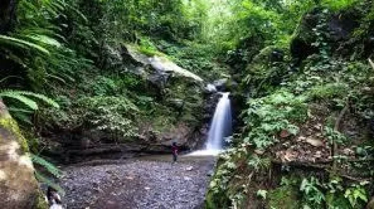 Menyusuri Keindahan Air Terjun Kalibendo