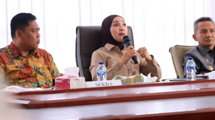 Wabup Kaur Audiensi dengan Komisi V DPR RI, Perjuangkan Dukungan Infrastruktur dar