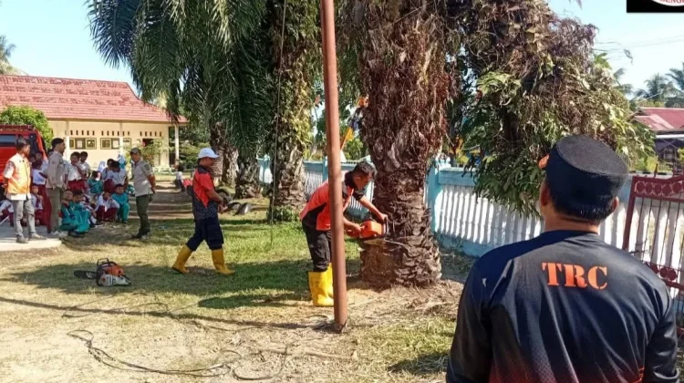 Cegah Potensi Bahaya, BPBD Bengkulu Selatan Evakuasi Pohon di Lingkungan Sekolah