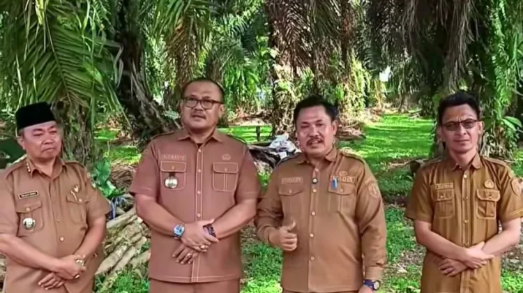 Pemkab Bengkulu Selatan Siapkan Lahan 9 Hektare Untuk Percontohan Pertanian