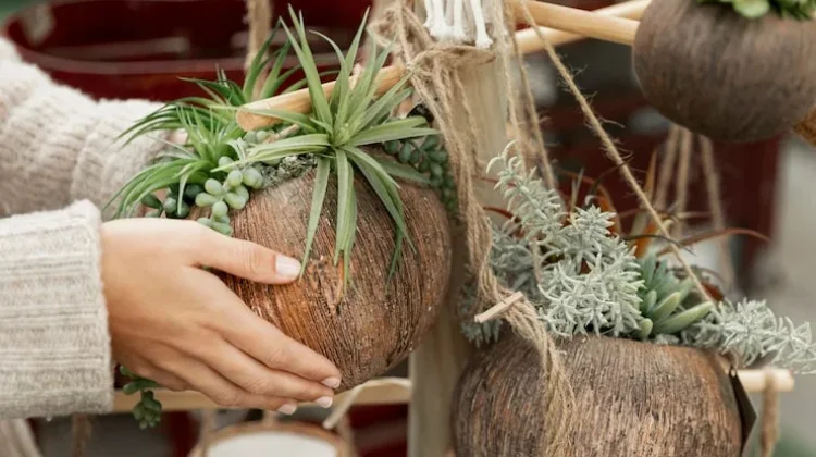 Peluang Usaha Kerajinan Pot Sabut Kelapa dan Kiat Suksesnya