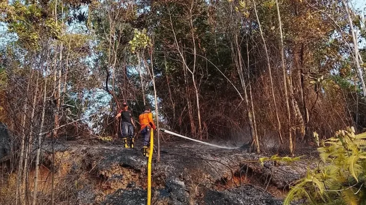 Peran Masyarakat dalam Mencegah Kebakaran Hutan dan Lahan