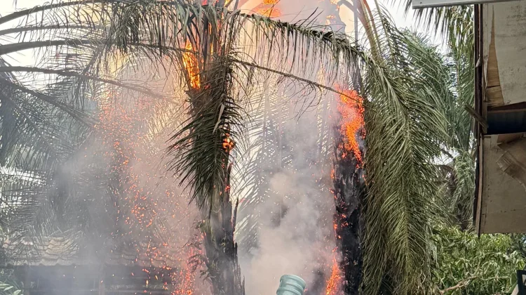 Bakar Sampah saat Kemarau, Api Nyaris Jalar ke Permukiman Jalan Batang Hari