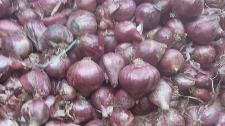 Masakan Lebih Beraraoma: Bawang Bombai VS Bawang Merah