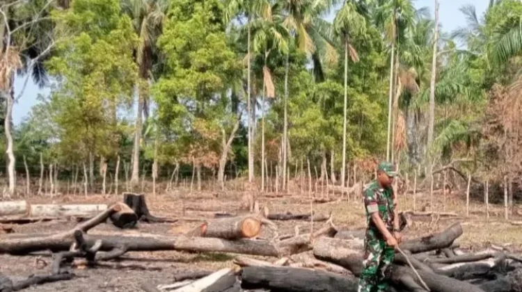 Babinsa Koramil Kaur Tengah Patroli Cegah Karhutla
