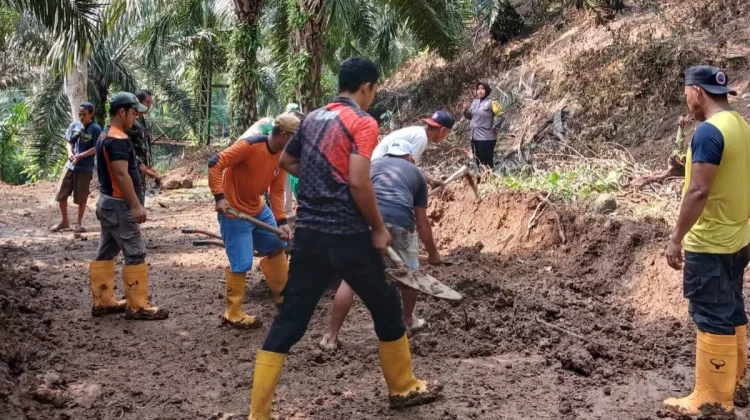 BPBD Bengkulu Selatan Evakuasi Longsor di Desa Padang Niur Bengkulu Selatan