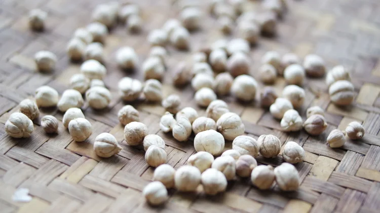 Keajaiban Kapulaga: Rempah Aromatik dengan Beragam Manfaat Kesehatan