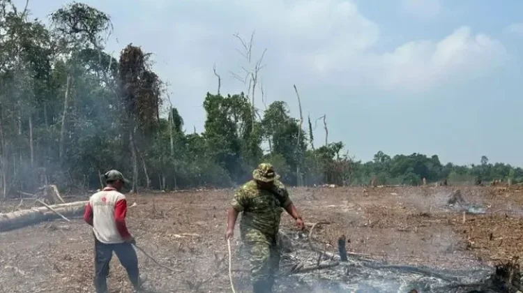 Babinsa Koramil Kaur Tengah Patroli Karhutla