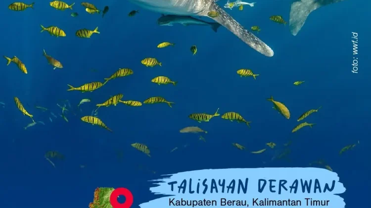 Wisata Talisayan Derawan Kalimantan Timur