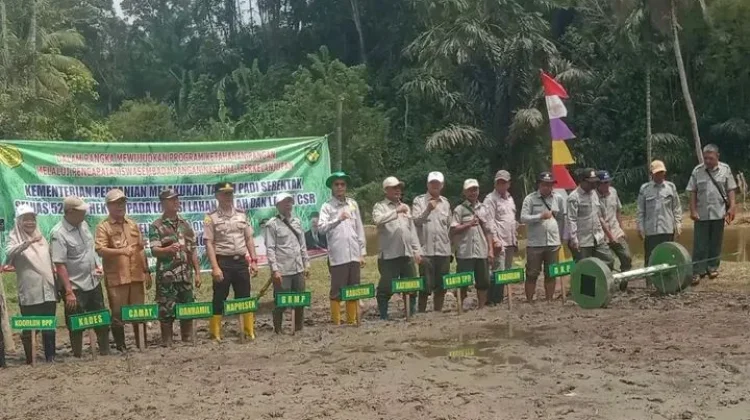 Babinsa Koramil Manna Hadiri Gerakan Tanam Padi Serentak