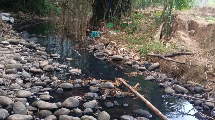 Sungai Kelam di Kaur, Alami Pendangkalan akibat Kemarau