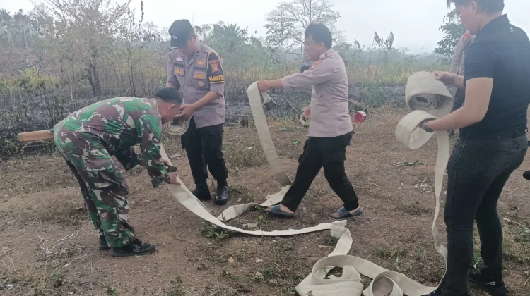 Babinsa Koramil Kaur Selatan Bersama Tim Gabungan Padamkan Kebakaran Lahan